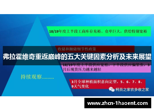 弗拉霍维奇重返巅峰的五大关键因素分析及未来展望 弗拉霍维奇重返巅峰的五大关键因素分析及未来展望