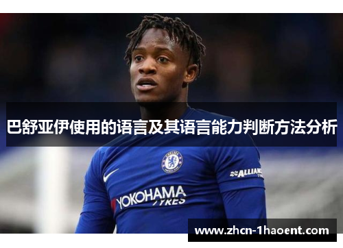 巴舒亚伊使用的语言及其语言能力判断方法分析 巴舒亚伊使用的语言及其语言能力判断方法分析